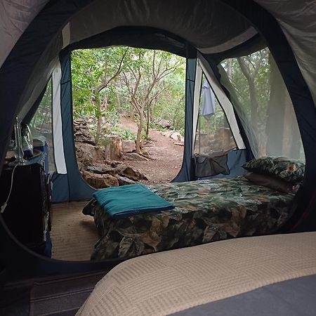 Kalkheuvel Adorable Unique Guest House - African Bush Feel מראה חיצוני תמונה